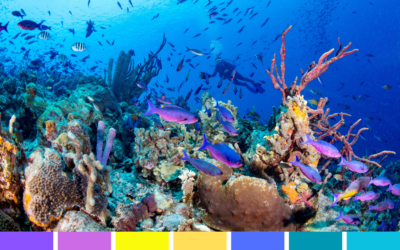 Skutečná versus pocitová teplota barev